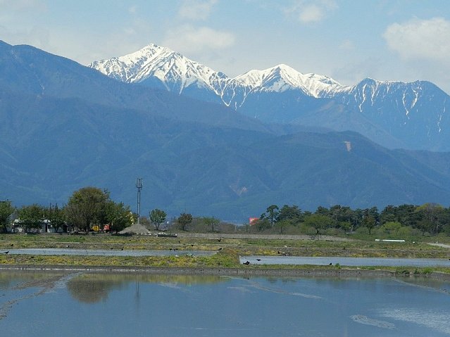 b0122448_1744226.jpg