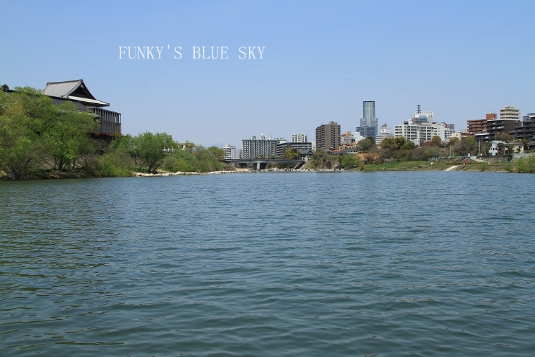 c0145250_1681360.jpg