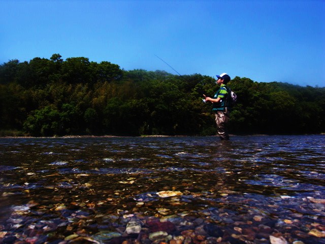 c0153951_17964.jpg