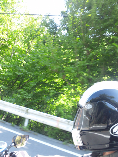 b0078754_2011418.jpg