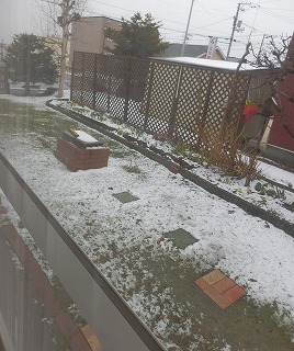 e0004756_2016272.jpg