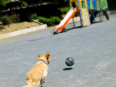 c0097558_1181846.jpg