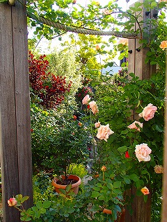 a0104162_2002314.jpg