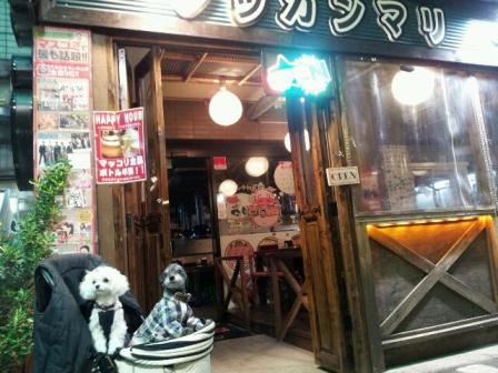 a0222564_0572393.jpg