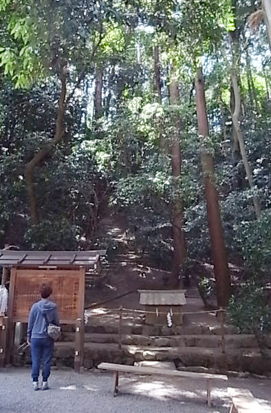 b0051666_8375873.jpg