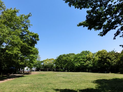 e0045768_2148396.jpg