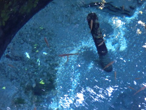e0045768_21543524.jpg