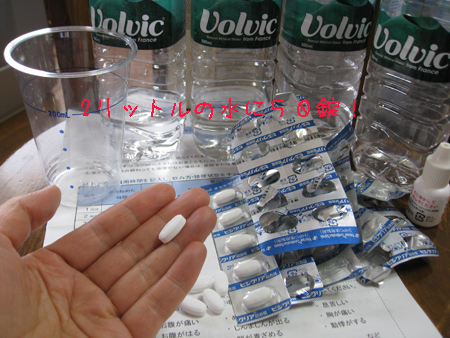 d0050871_1833130.jpg