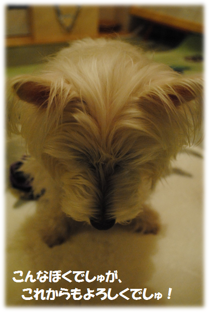 b0242873_0224142.png