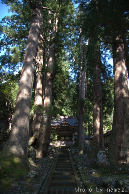 b0280176_1821289.jpg