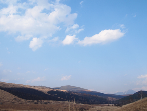 a0224382_6382525.jpg