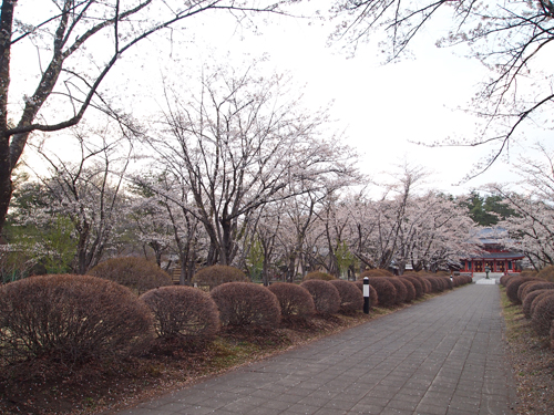 a0224382_638529.jpg