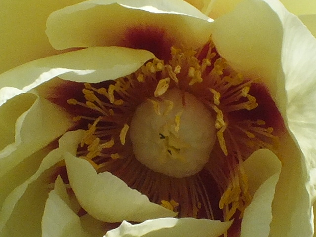 e0145782_21215778.jpg