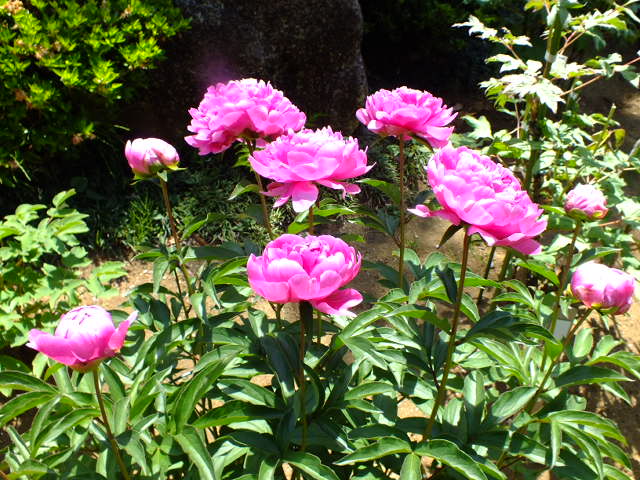 e0145782_2125183.jpg