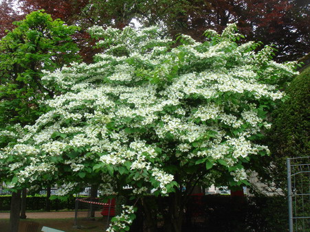 a0247585_21531149.jpg