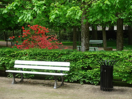 a0247585_21572238.jpg