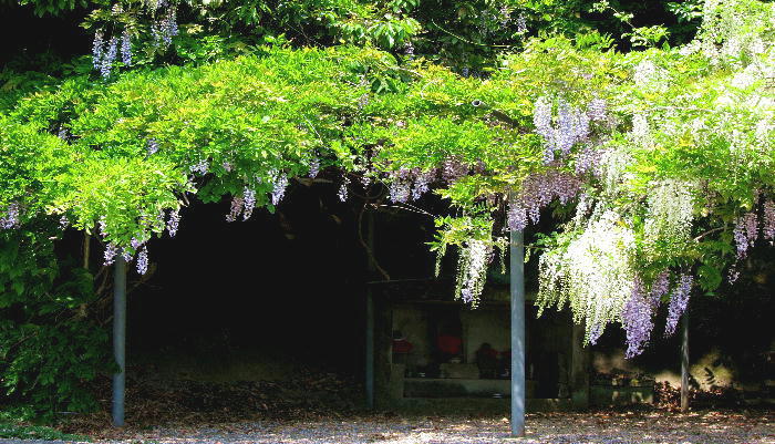 b0171185_1151229.jpg