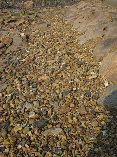 e0060485_2356744.jpg