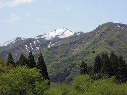 e0155085_19384358.jpg