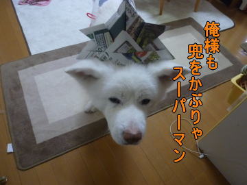 a0187087_1434250.jpg