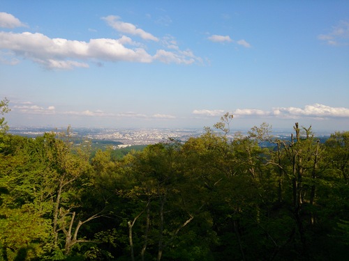 d0174489_0304229.jpg