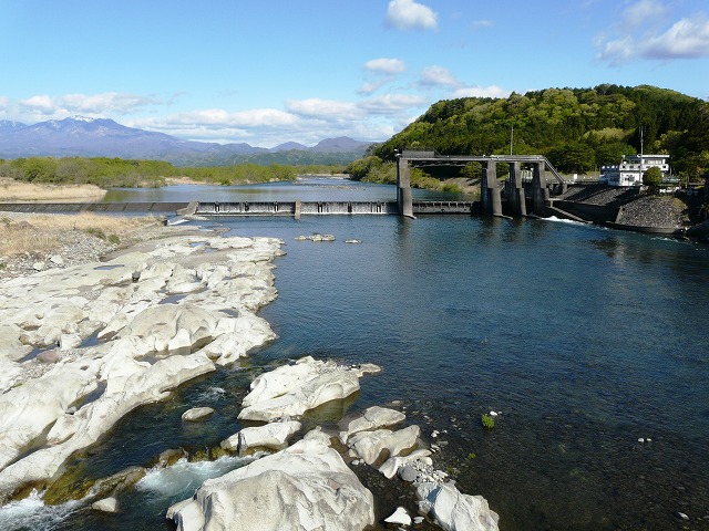 e0202393_5464195.jpg