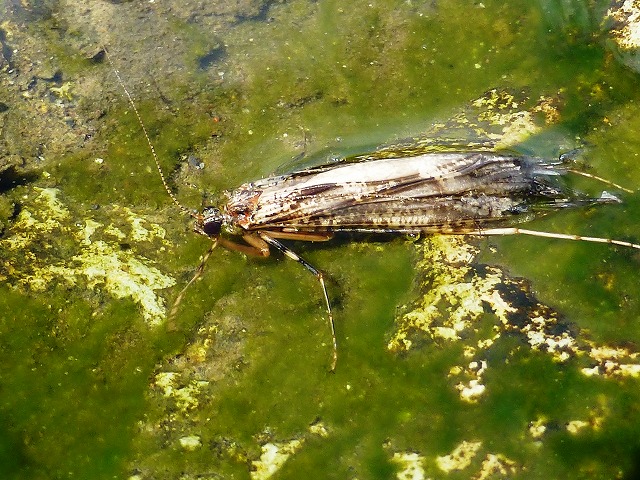 e0202393_54904.jpg