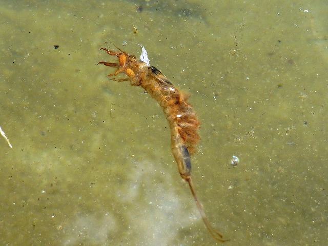 e0202393_5533385.jpg
