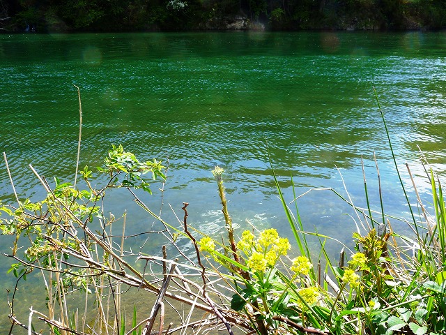 e0202393_553551.jpg
