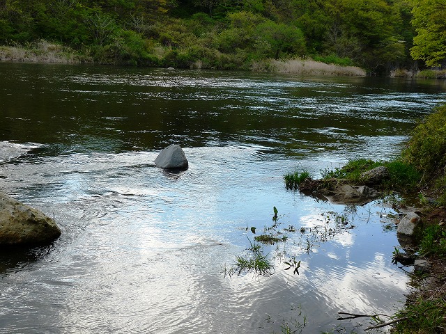 e0202393_556580.jpg