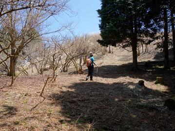 c0118495_2255511.jpg