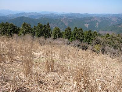 c0118495_2257025.jpg