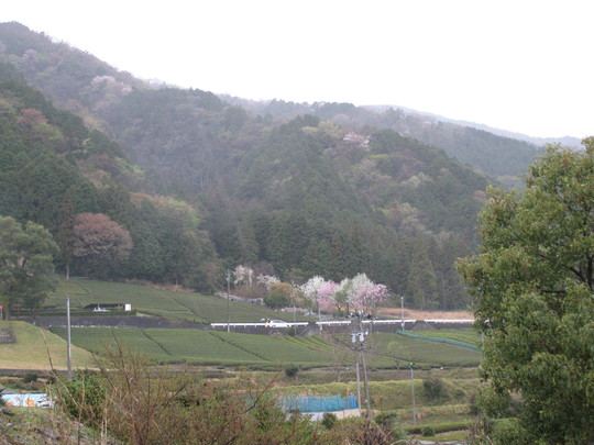 f0010195_01824100.jpg