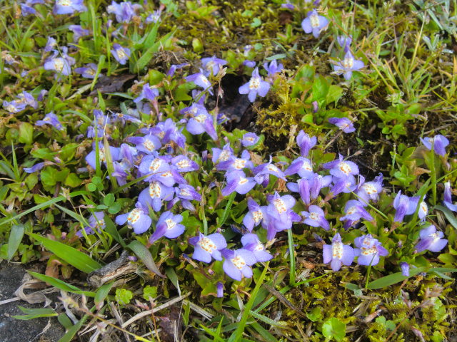 b0044296_23303249.jpg