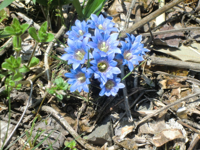 b0044296_23324173.jpg