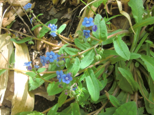 b0044296_23405016.jpg