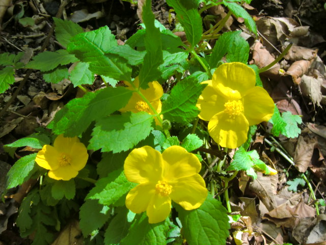 b0044296_23425544.jpg