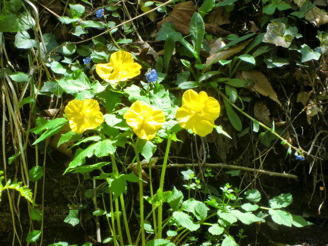 b0044296_23462746.jpg
