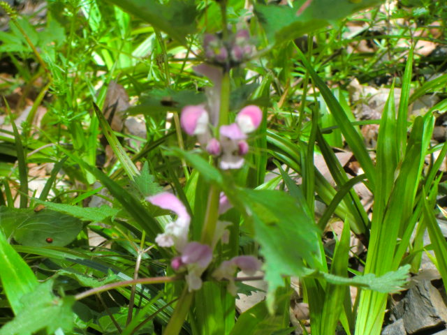 b0044296_23495042.jpg