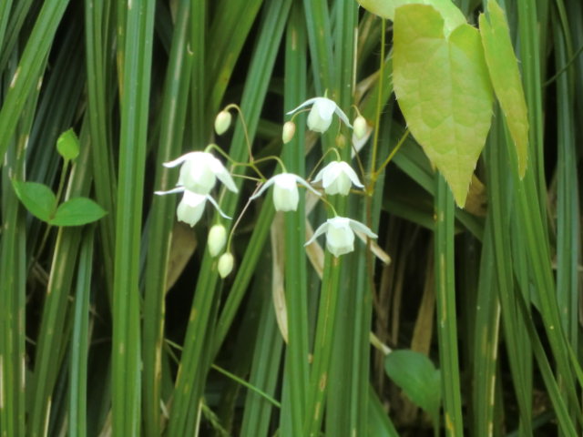 b0044296_23505368.jpg