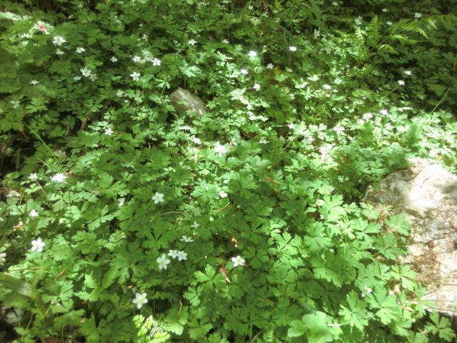 b0044296_23531636.jpg
