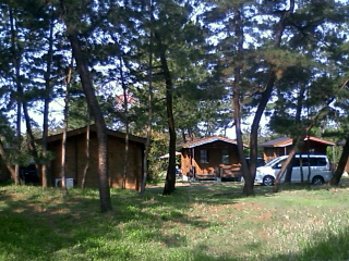 b0013897_15464215.jpg