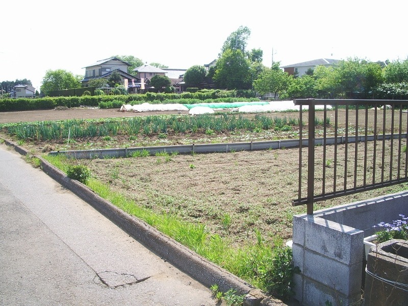 e0025300_1722633.jpg