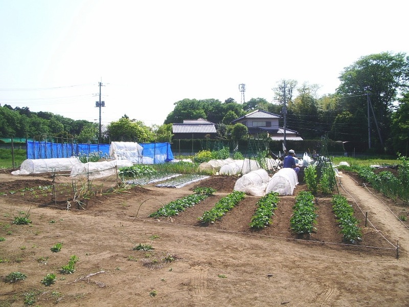 e0025300_1785796.jpg