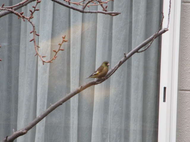 f0202703_21462941.jpg
