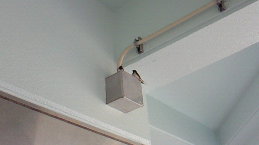 d0149105_17343024.jpg