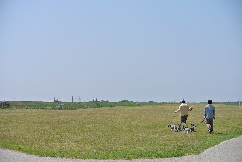 f0179209_1341554.jpg