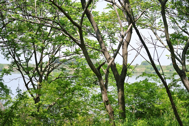 f0179209_13534693.jpg