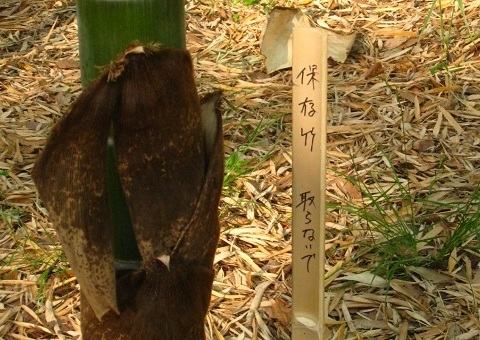 c0084117_2029522.jpg