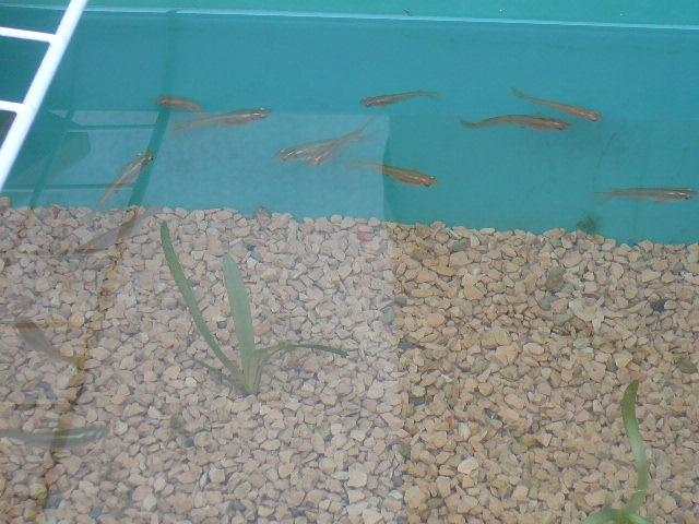 e0026017_16123455.jpg